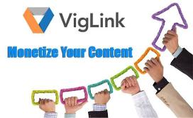 VigLink